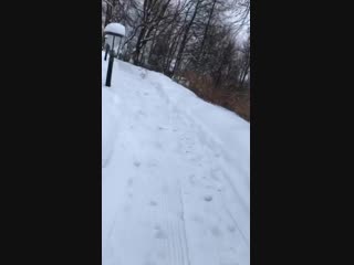 maxim galkin and son harry ride a snow scooter 01/29/19 3