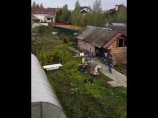 cougar in the mud village