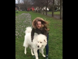 alisa saltykova plays with a dog in london april 2018